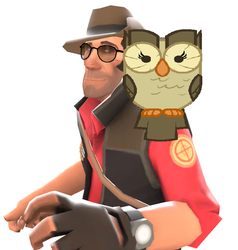 Size: 633x666 | Tagged: safe, edit, owlowiscious, bird, owl, g4, glasses, sniper, sniper (tf2), team fortress 2