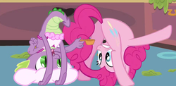 Size: 678x332 | Tagged: safe, edit, edited screencap, screencap, pinkie pie, spike, dragon, earth pony, pony, g4, just for sidekicks, apron, butt, clothes, female, gritted teeth, male, mare, naked apron, out of context, plot, ship:pinkiespike, shipping, straight, upside down, wat, wide eyes