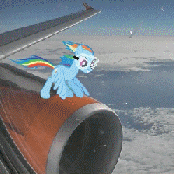 Size: 300x300 | Tagged: safe, rainbow dash, pegasus, pony, g4, animated, cloud, engine, female, flapping, flying, goggles, irl, jet, jet engine, mare, plane, ponies in real life, sky, window, wings