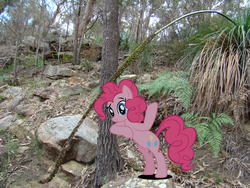 Size: 2048x1536 | Tagged: safe, artist:joeypony, pinkie pie, rocky, earth pony, pony, g4, bipedal, bipedal leaning, leaning, looking at you, ponies in real life, shadow, smiling, tree, vector