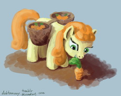 Size: 1280x1020 | Tagged: safe, artist:dahtamnay, carrot top, golden harvest, pony, g4, 30 minute art challenge, carrot, female, garden, solo