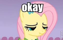 Size: 346x224 | Tagged: safe, fluttershy, g4, image macro, okay, reaction image, scrunchy face