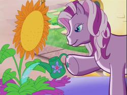 Size: 640x480 | Tagged: safe, screencap, wysteria, g3, the princess promenade, dexterous hooves, finger, float, flower, lump, princess wysteria, sunflower, wat, watering can