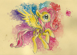 Size: 2352x1672 | Tagged: safe, artist:smartmeggie, fluttershy, g4, traditional art