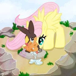 Size: 400x400 | Tagged: safe, artist:tora-noko, fluttershy, tepig, g4, crossover, crying, hurt/comfort, pokémon, tears of pain