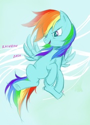 Size: 722x1007 | Tagged: safe, artist:playswithscissors05, rainbow dash, pony, g4, female, solo