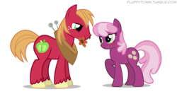Size: 750x400 | Tagged: safe, artist:mixermike622, big macintosh, cheerilee, earth pony, pony, g4, blushing, female, flower, male, mare, ship:cheerimac, shipping, simple background, stallion, straight, transparent background