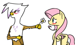 Size: 827x504 | Tagged: safe, artist:gfdsyjuky, fluttershy, gilda, griffon, pegasus, pony, g4, blushing, cute, female, gildashy, lesbian, mare, shipping, simple background, transparent background, tsundere