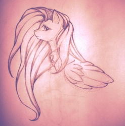 Size: 888x900 | Tagged: safe, artist:xapy, fluttershy, g4, traditional art