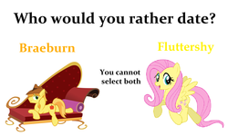 Size: 1500x900 | Tagged: safe, braeburn, fluttershy, g4, meta, who would you date