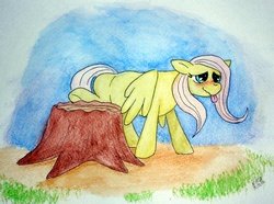 Size: 800x596 | Tagged: safe, artist:velvet204, fluttershy, pony, g4, blushing, female, implied pissing, peegasm, potty time, raised leg, solo, tongue out, tree stump