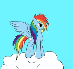 Size: 1562x1479 | Tagged: safe, artist:chineseninja, rainbow dash, g4, cloud