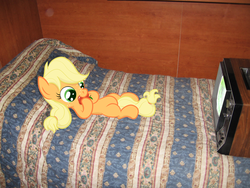 Size: 1600x1200 | Tagged: safe, artist:kometone, applejack, g4, apple, filly, irl, obligatory apple, on back, photo, ponies in real life, television