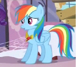 Size: 304x271 | Tagged: safe, screencap, rainbow dash, rarity, g4, magical mystery cure, animated, dancing, element of loyalty, female, loop, singing, slide