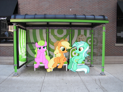 Size: 1600x1200 | Tagged: safe, applejack, daisy, flower wishes, lyra heartstrings, earth pony, pony, unicorn, g4, bus stop, female, irl, mare, photo, ponies in real life, sitting, sitting lyra