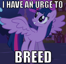 Size: 346x336 | Tagged: safe, edit, edited screencap, screencap, twilight sparkle, alicorn, pony, g4, magical mystery cure, estrus, female, image macro, implied breeding, implied sex, mare, spread wings, twilight sparkle (alicorn), wingboner, wings