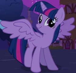 Size: 587x569 | Tagged: safe, twilight sparkle, alicorn, pony, female, reaction image, solo, spread wings, twiface, twilight sparkle (alicorn), wrong neighborhood