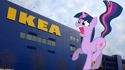 Size: 3000x1688 | Tagged: safe, twilight sparkle, pony, unicorn, g4, 2013 horsemeat scandal, female, ikea, irl, mare, open mouth, photo, ponies in real life, scandal, unicorn twilight