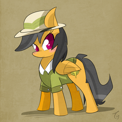 Size: 1000x1000 | Tagged: safe, artist:kty159, daring do, pegasus, pony, g4, abstract background, blushing, colored pupils, female, looking at you, mare, signature, solo, standing