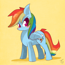 Size: 1200x1200 | Tagged: safe, artist:kty159, rainbow dash, pegasus, pony, g4, blushing, colored pupils, female, looking at you, mare, simple background, solo, standing, yellow background