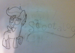 Size: 1168x829 | Tagged: safe, artist:ilovebunnies2442, scootaloo, pony, g4, female, solo, traditional art