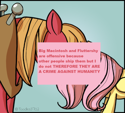 Size: 900x814 | Tagged: safe, big macintosh, fluttershy, offensive ponies, g4, female, male, meta, ship:fluttermac, shipping, straight, text
