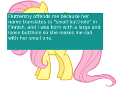 Size: 500x353 | Tagged: safe, fluttershy, offensive ponies, g4, meta, text, wat