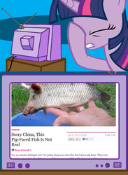 Size: 563x771 | Tagged: safe, twilight sparkle, g4, exploitable meme, facehoof, tv meme