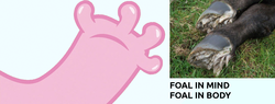 Size: 1254x479 | Tagged: safe, pinkie pie, horse, g4, eponychium, fingers, grass, hoof fingers, hooves, irl, irl horse, photo