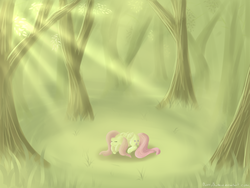 Size: 6400x4800 | Tagged: safe, artist:bubblyblackbird, fluttershy, pony, g4, absurd resolution, clearing, crepuscular rays, eyes closed, female, folded wings, forest, prone, sleeping, solo, tree