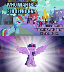 Size: 640x720 | Tagged: safe, edit, edited screencap, screencap, elbow grease, fleur de verre, night knight, paradise (g4), rainbow dash, twilight sparkle, alicorn, crystal pony, pony, g4, magical mystery cure, the crystal empire, female, flugelhorn, german, image macro, impact font, mare, meme, twilight sparkle (alicorn)