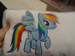 Size: 1600x1200 | Tagged: safe, rainbow dash, pony, g4, female, pillow, solo