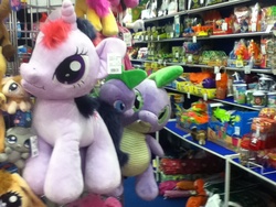 Size: 960x720 | Tagged: safe, spike, twilight sparkle, g4, irl, photo, plushie, spike plushie