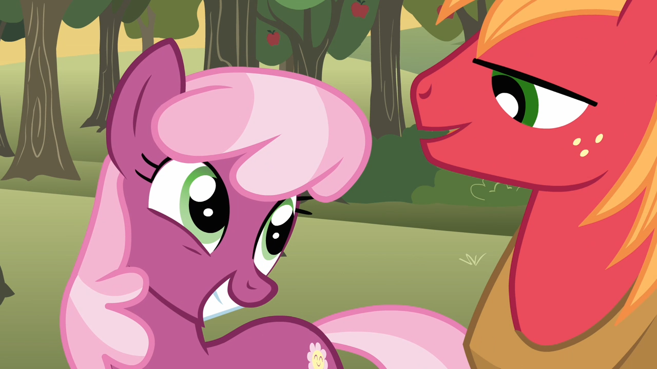 231864 - safe, screencap, big macintosh, cheerilee, earth pony, pony, g4,  hearts and hooves day (episode), my little pony: friendship is magic,  hearts and hooves day, male, ship:cheerimac, shipping, smiling, stallion,  straight -, image size:1280x720