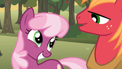 Size: 1280x720 | Tagged: safe, screencap, big macintosh, cheerilee, earth pony, pony, g4, hearts and hooves day (episode), hearts and hooves day, male, ship:cheerimac, shipping, smiling, stallion, straight