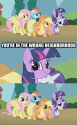 Size: 444x720 | Tagged: safe, applejack, fluttershy, rainbow dash, rarity, twilight sparkle, g4, image macro, twiface, wrong neighborhood