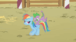 Size: 600x338 | Tagged: safe, screencap, rainbow dash, spike, dragon, pegasus, pony, fall weather friends, g4, animated, bucking, duo, evil grin, female, frown, gif, loop, male, mare, riding, spike riding rainbow dash, spikeabuse