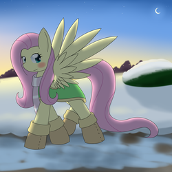 Size: 1500x1500 | Tagged: safe, artist:silverfox057, fluttershy, pony, g4, boots, female, moon, snow, solo