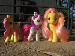 Size: 1280x960 | Tagged: safe, fluttershy, rarity, horse, g4, brushable, irl, toy