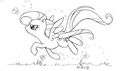 Size: 900x518 | Tagged: safe, artist:what-nancy-drew, fluttershy, butterfly, g4, lineart