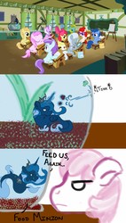 Size: 1024x1800 | Tagged: safe, artist:alazak, apple bloom, cheerilee, diamond tiara, liza doolots, petunia, princess luna, silver spoon, tootsie flute, twist, sea pony, g4, ponyville schoolhouse, species swap, tumblr