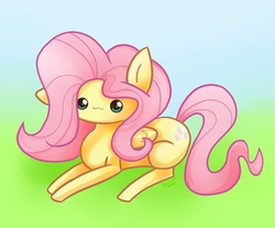 Size: 1552x1285 | Tagged: safe, artist:blacky-moon, fluttershy, pony, g4, chibi, female, solo