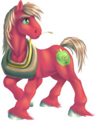 Size: 984x1248 | Tagged: safe, artist:kittehkatbar, big macintosh, earth pony, pony, g4, male, simple background, stallion, transparent background