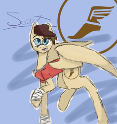 Size: 3473x3656 | Tagged: safe, artist:dominofeatherwolf, pegasus, pony, crossover, ponified, scout (tf2), team fortress 2