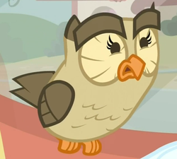 Size: 710x640 | Tagged: safe, screencap, owlowiscious, bird, owl, g4, just for sidekicks, disgusted, male, reaction image, solo