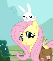 Size: 478x543 | Tagged: safe, screencap, angel bunny, fluttershy, g4, just for sidekicks, saddle bag, smiling