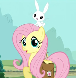 Size: 581x595 | Tagged: safe, screencap, angel bunny, fluttershy, g4, just for sidekicks, saddle bag, surprised