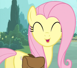 Size: 807x716 | Tagged: safe, screencap, fluttershy, pony, g4, just for sidekicks, :d, female, happy, saddle bag, solo