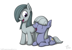 Size: 1024x717 | Tagged: safe, artist:tealdragon44, limestone pie, marble pie, g4, duo, pie sisters