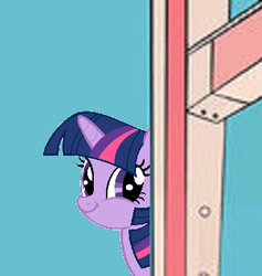 Size: 341x360 | Tagged: safe, twilight sparkle, pony, unicorn, g4, bad day at cat rock, meme, needs more jpeg, that fucking cat, tom and jerry, twiface, twilight cat, unicorn twilight, wrong neighborhood